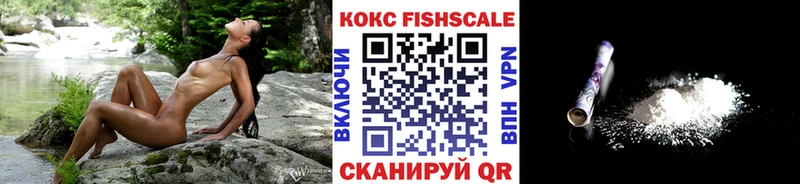 купить наркотик Медногорск МЕГА зеркало Кокаин Fish Scale