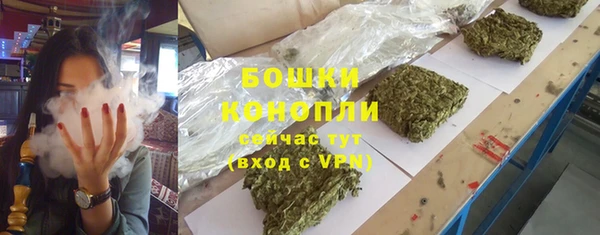 таблы Бородино
