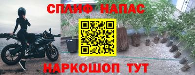кокс Пугачёв