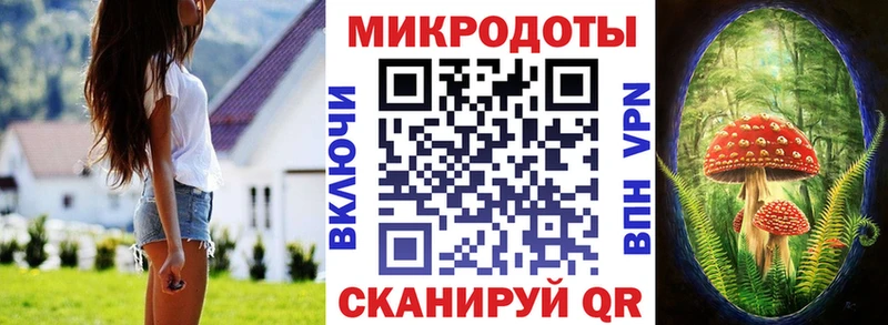 закладка  Медногорск  Псилоцибиновые грибы прущие грибы 
