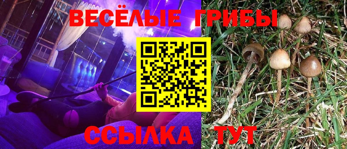 Медногорск  Галлюциногенные грибы Psilocybe  наркошоп  Вход с VPN 